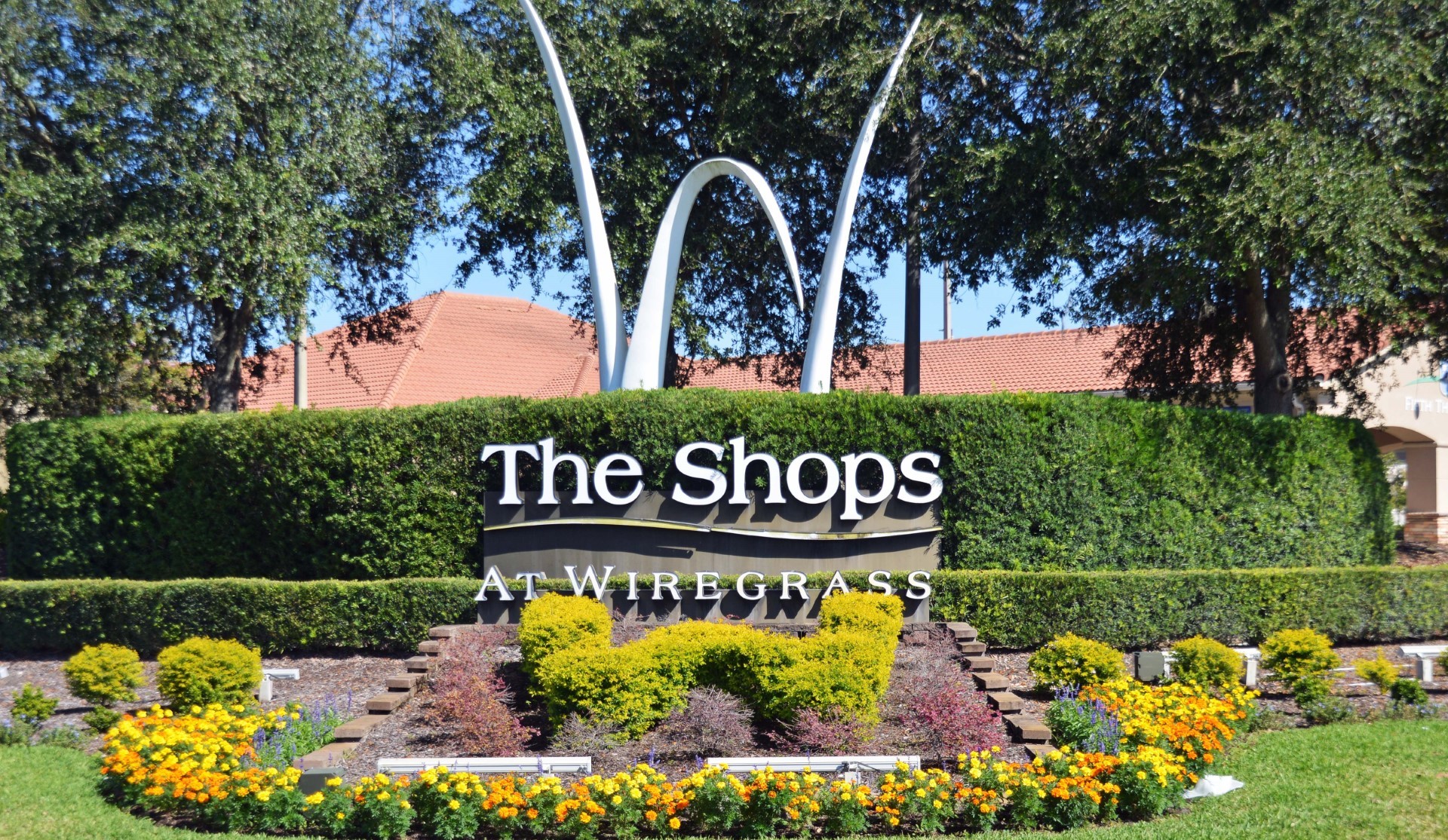 Things to do in Wesley Chapel - Steve Appel Real Estate